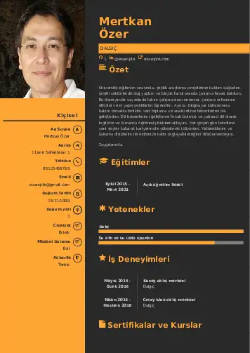 Dalgıç CV Örnekleri cv indir
